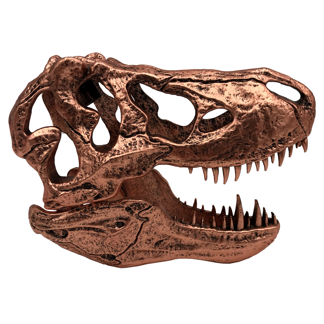 Jurassic Park | T-Rex Skull Scaled Prop Replica