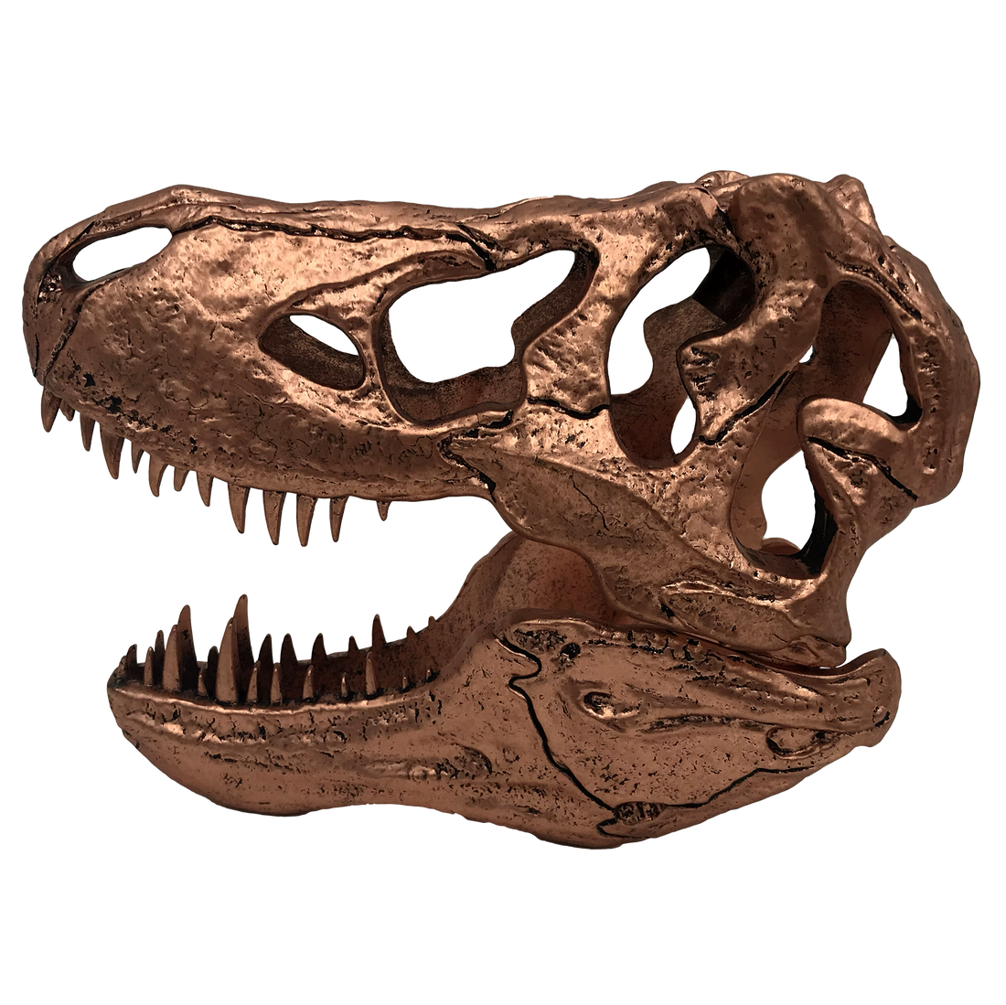 Jurassic Park | T-Rex Skull Scaled Prop Replica