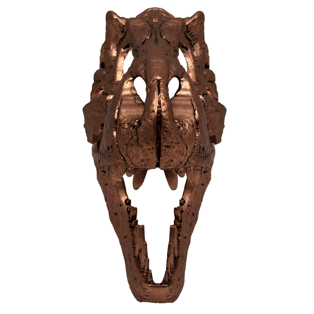 Jurassic Park | T-Rex Skull Scaled Prop Replica