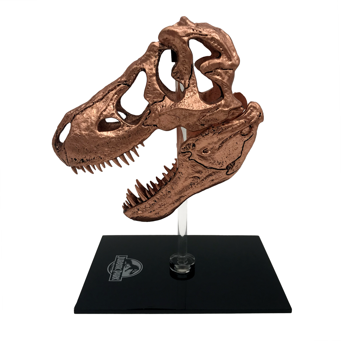 Jurassic Park | T-Rex Skull Scaled Prop Replica