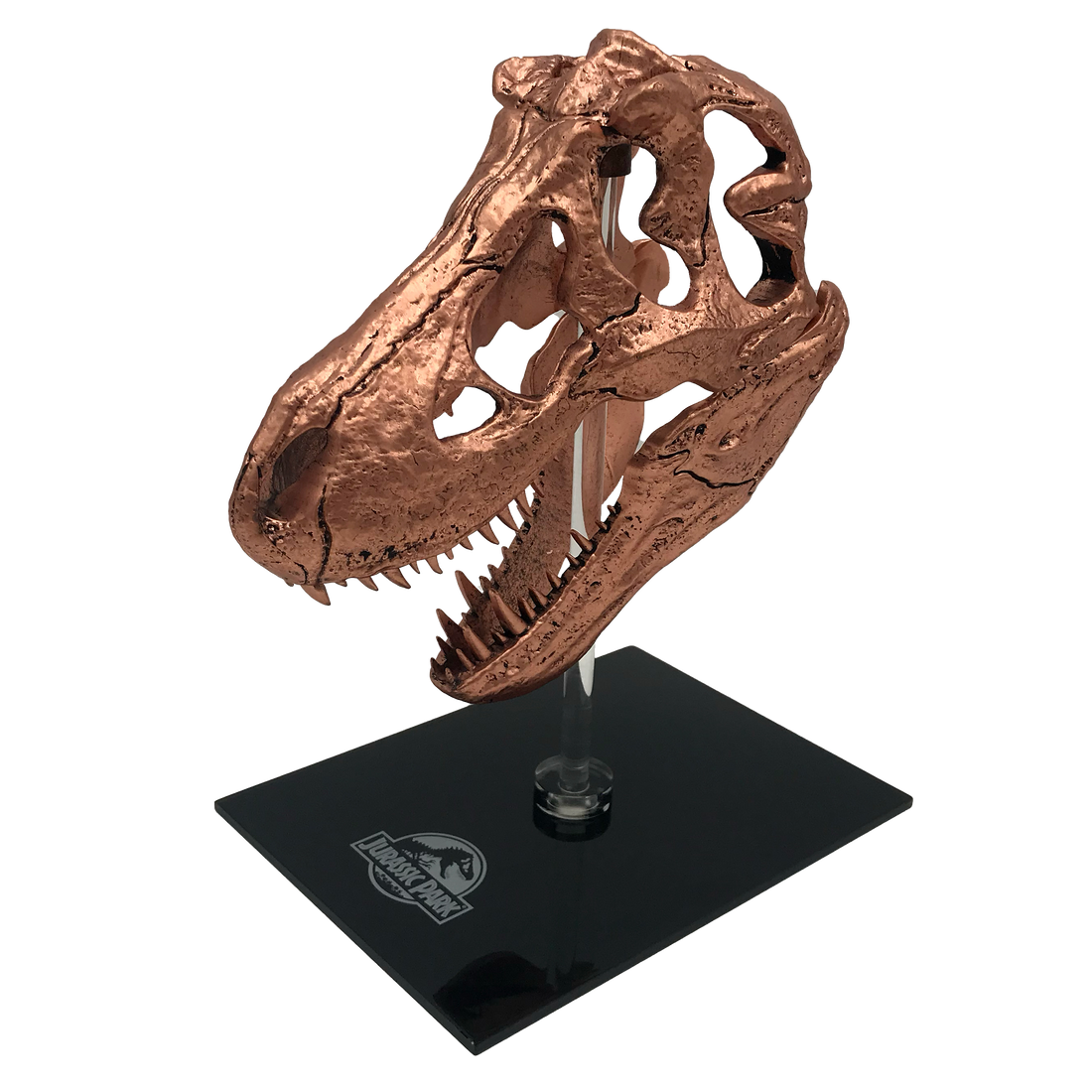 Jurassic Park | T-Rex Skull Scaled Prop Replica
